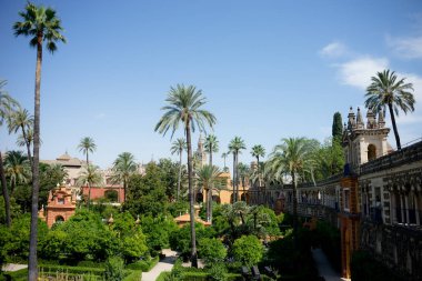 Sevilla, İspanya - 19 Haziran: Panoramik Alcazar Bahçe, 