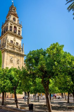 Çan kulesi ve Patio de los Naranjos Camii-katedral, t