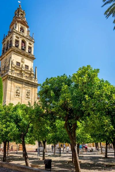 Çan kulesi ve Patio de los Naranjos Camii-katedral, t