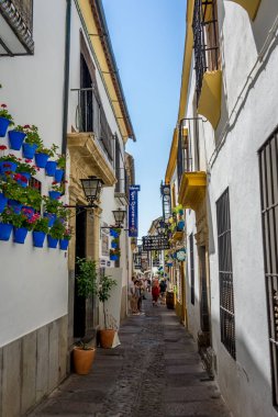 Cordoba, İspanya - 20 Haziran: Çiçekler o ile Cordoba sokaklarında