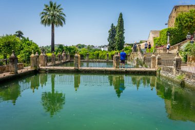 Alcazar de los Reyes Cristianos cas gölette üzerine düşünceler