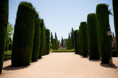 Jardins de lAlcazar de Cordoue, Andalousie, Cordoba, Spain