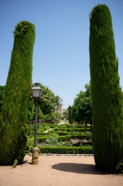 Uzun boylu ağaçlar jardines, Alcazar de Los R Kraliyet Bahçe içinde
