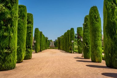 Uzun boylu ağaçlar jardines, Alcazar de Los R Kraliyet Bahçe içinde