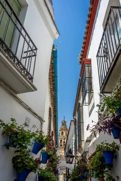 Bell Tower nézett az utcára, Córdoba, Spanyolország, Európa, Cal — Stock Fotó