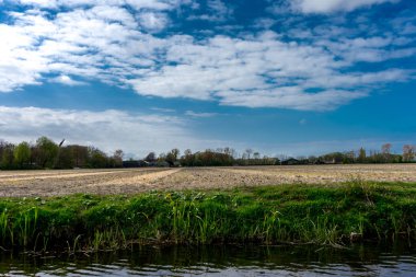 Parlak bir su güzel arka plan ile renkli Lale çiçek