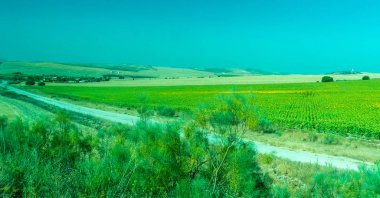 Yeşillik, dağlar, çiftlikler ve Ronda eteklerinde alanlar 