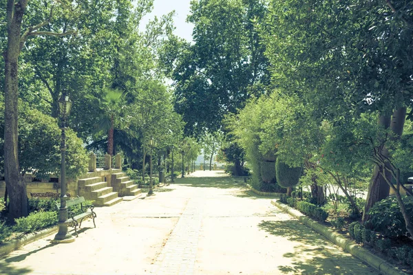 Árboles en el sendero del Tajo De Ronda en la ciudad de Ronda — Foto de Stock