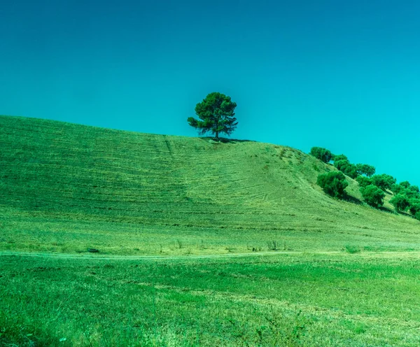 Greenery, Mountains, Farms and Fields on the outskirts of Ronda — Stock Photo, Image