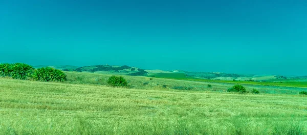 녹지, 산, 농장, Ronda의 필드 — 스톡 사진