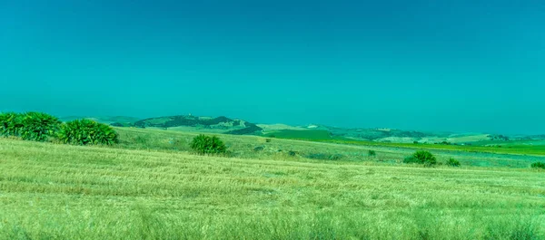 Verdure, Montagnes, Fermes et Champs à la périphérie de Ronda — Photo