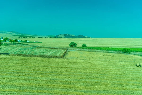 Greenery, Montanhas, Fazendas e Campos nos arredores de Ronda — Fotografia de Stock