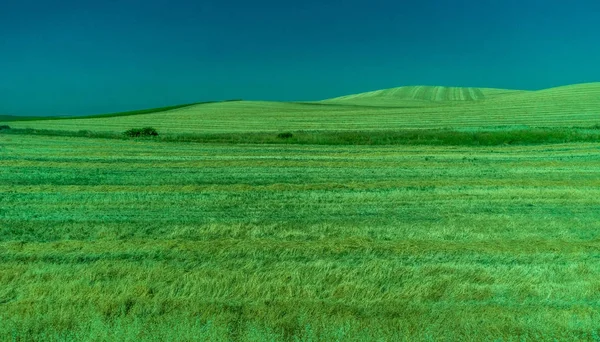 Greenery, Montanhas, Fazendas e Campos nos arredores de Ronda — Fotografia de Stock