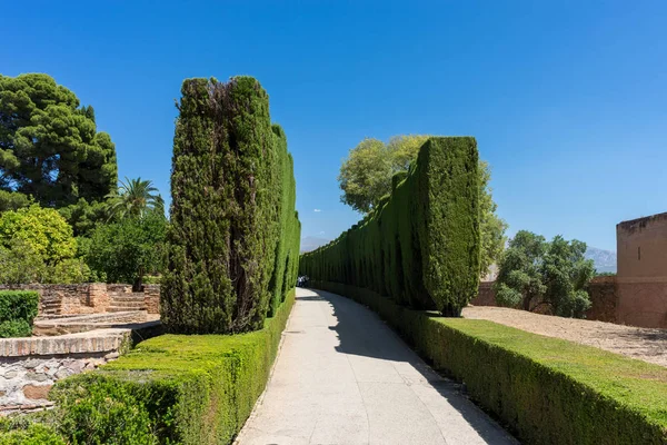 Camino curvo bordeado de árboles en hermosos jardines de la antigua Al —  Fotos de Stock