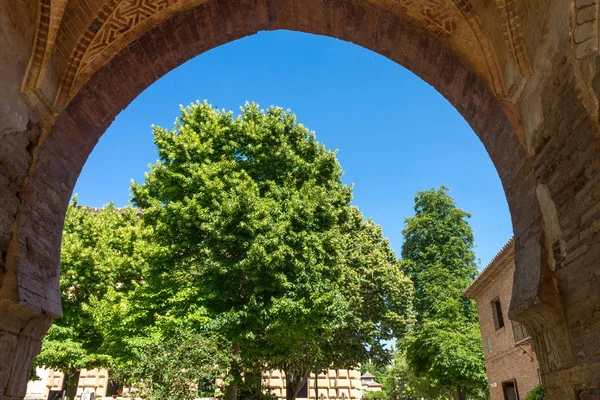 在格拉纳达阿罕布拉宫殿的拱门上观看的树 — 图库照片
