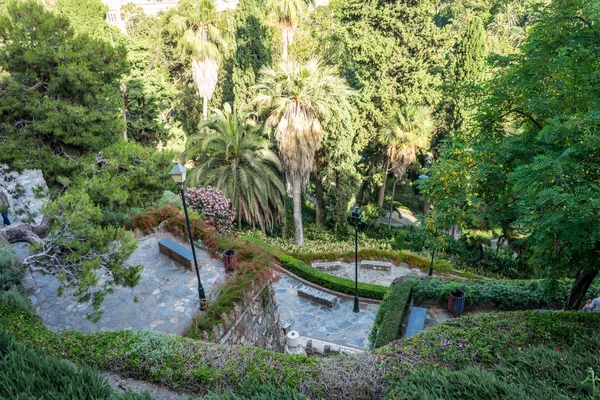 スペイン、マラガの街の Europ を見下ろす丘の上の庭園 — ストック写真