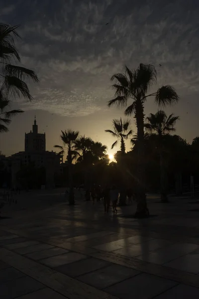 Golden sun sets behind a palm grove at Malaga, Spain, Europe — Stock Photo, Image