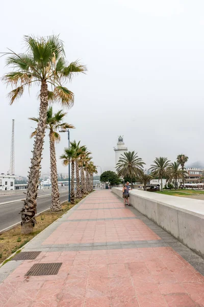 高大的棕榈树沿 Malaguera 海滩与灯塔 — 图库照片