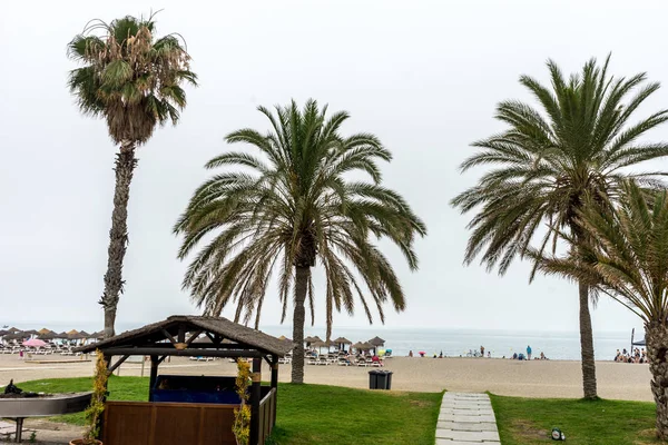 Hoge palmbomen langs het strand van de Malaguera met de Oceaan in de rug — Stockfoto
