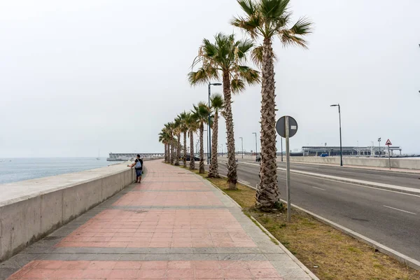 Hoge palmbomen langs het strand van de Malaguera met de zee in de backgr — Stockfoto