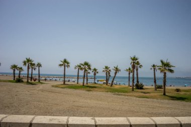 Palmiye ağaçları ile bir hamak Malagueta adlı bir toplu grup olmak