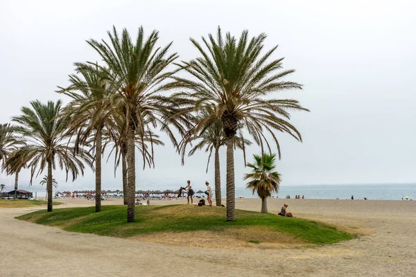 Wysokimi palmami wzdłuż plaży Malaguera z oceanu w plecy — Zdjęcie stockowe