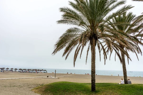 Alte palme gemelle lungo la spiaggia di Malaguera con oceano nel — Foto Stock