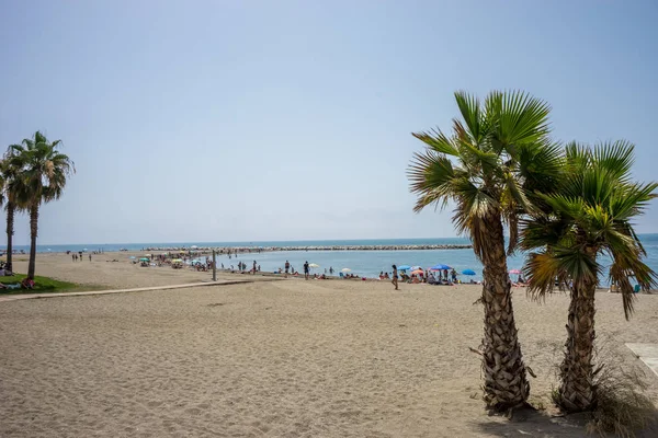 Tall twin palm trees along the Malaguera beach with ocean in the — Stock Photo, Image