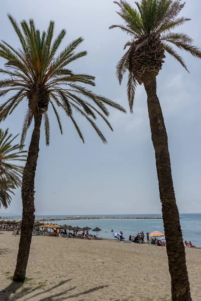 Höga twin palmer längs Malaguera beach med havsutsikt i den — Stockfoto