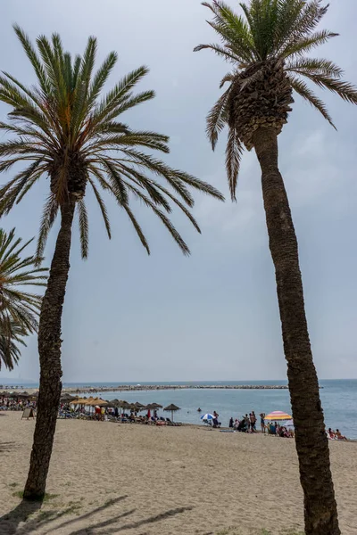 Palmeras gemelas altas a lo largo de la playa de Malaguera con el océano en el — Foto de Stock