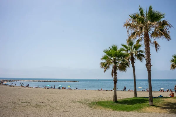 Alto palmeiras gêmeas ao longo da praia de Malaguera com oceano no — Fotografia de Stock