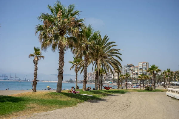 背の高い双子ヤシの木、Malaguera に沿ってビーチの海を — ストック写真