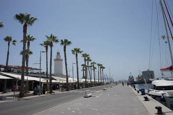 Wysokie palmy z przodu białej latarni o Malagueta beach i — Zdjęcie stockowe
