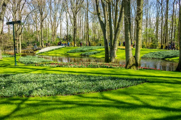 Erba verde nei giardini keukenhof a Lisse, Paesi Bassi, Euro — Foto Stock