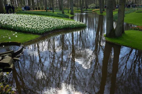 밝은에 리세, 네덜란드, 유럽의 그덴에 물 연못 — 스톡 사진