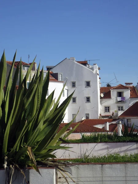 Netz Aus Tramkabeln Mit Himmel Und Wolken Hintergrund Lispon Portugal Stockbild