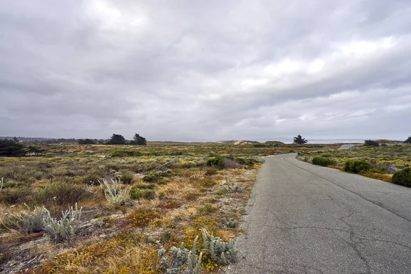 Malerische, menschenleere Straße durch Dünen in Richtung Pazifik — Stockfoto