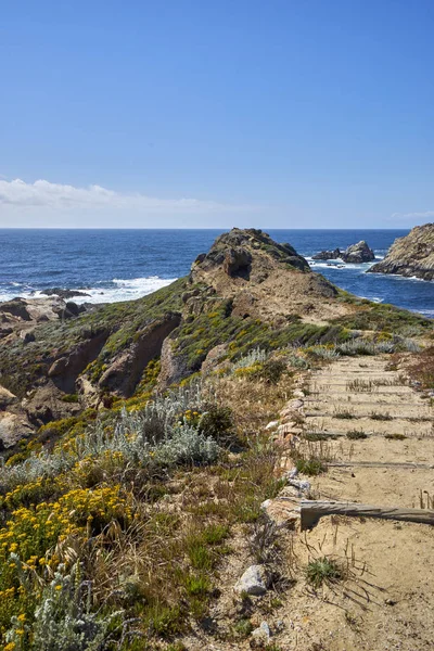 ahşap ve kum okyanus gökyüzü buluştuğu Pasifik Okyanusu doğru çevresinde Rüzgar iz