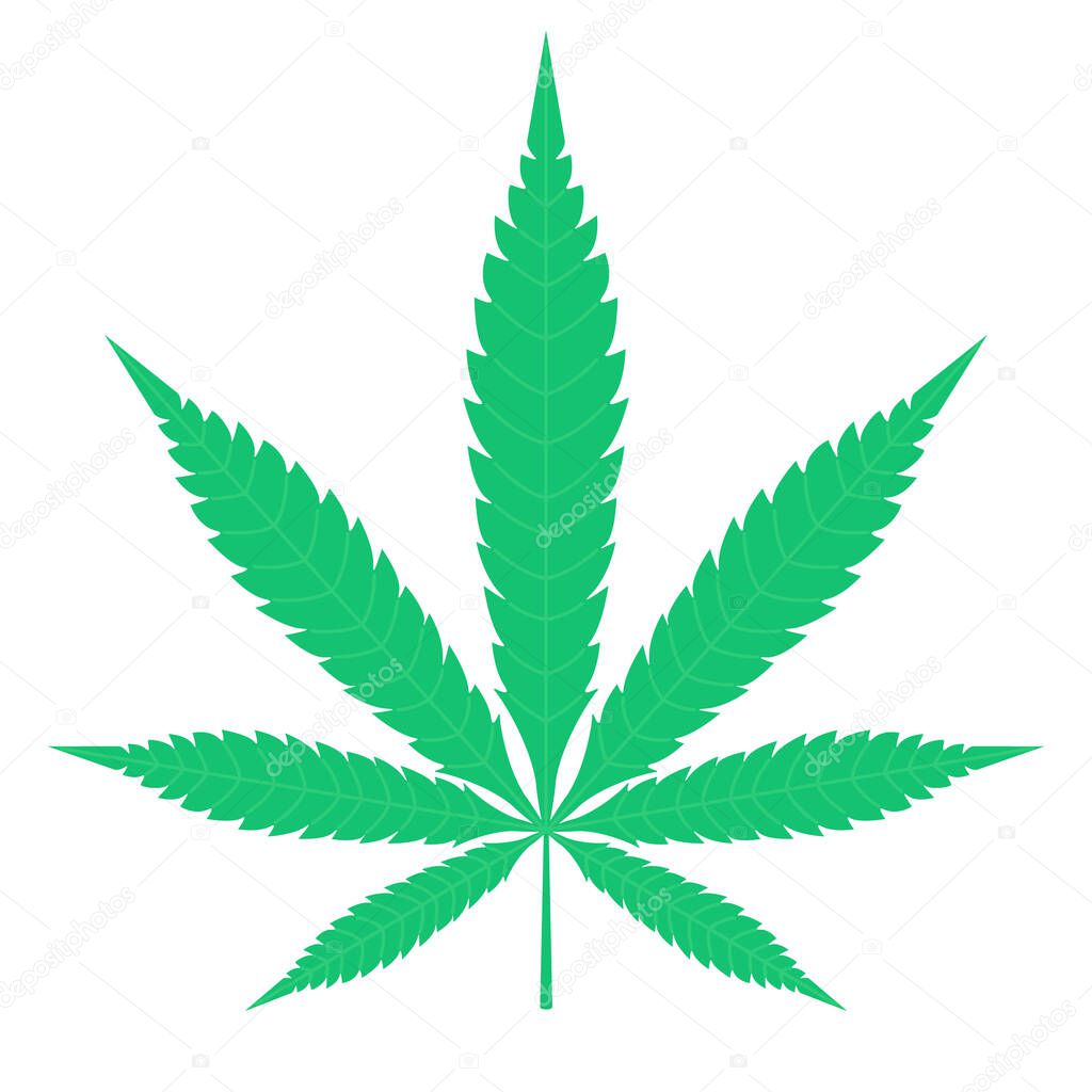 Cannabis green leaf clipart icon. CBD, pharmacoloogy, medical, legal narcoticc, hash oil, organic concept. Can be used for cosmetic banner, web or app. Stock vector illustration isolated on white