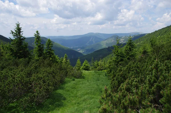 Paesaggio montano ceco in estate - Lucni bouda, Bila hora - Krkonose, Repubblica Ceca — Foto Stock