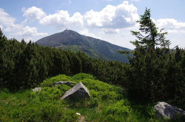 Vista de la colina Snezka en verano, Krkonose - República Checa — Foto de Stock