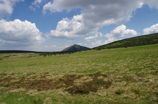 Veduta della collina Snezka in estate, Krkonose - Repubblica Ceca — Foto Stock