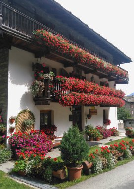 çiçeklerle süslü dağ evi