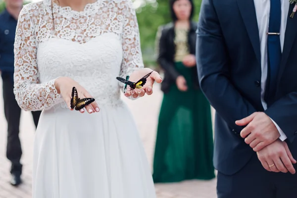Bruden håller en fjäril i händer — Stockfoto