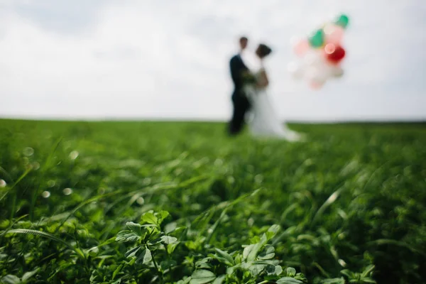 Sposo e sposa che si tengono per mano con palloncini — Foto Stock