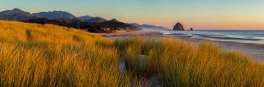 Top Beach ve Haystack Rock top Beach, Oregon Güney isteyen