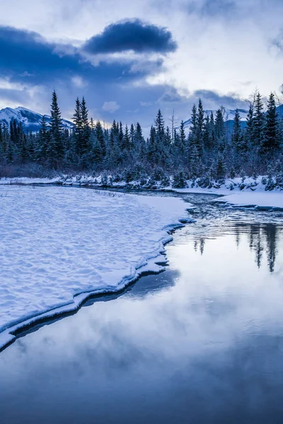 Tidlig morgen ved en bekk nær Canmore, Alberta, Canada – stockfoto