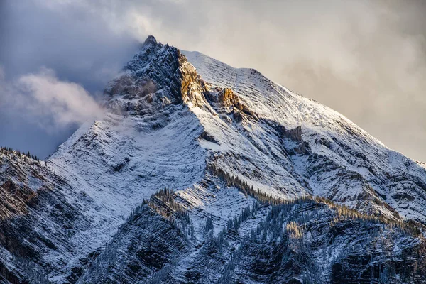 Свежий снег на вершине горы в Канадских Скалистых горах, Британская Колумбия, Канада — стоковое фото