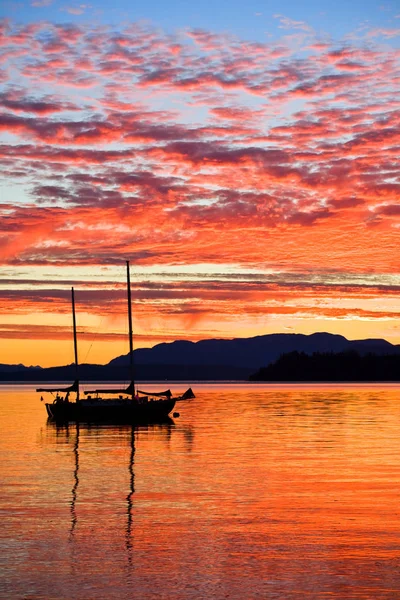 Plachetnice při západu slunce na západním pobřeží Britské Kolumbie — Stock fotografie