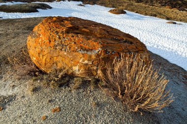 Kırmızı Rock Coulee Güney Alberta, Kanada